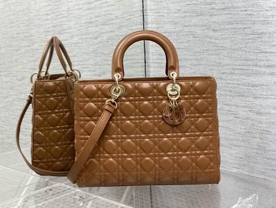 DIOR Handbags 1007